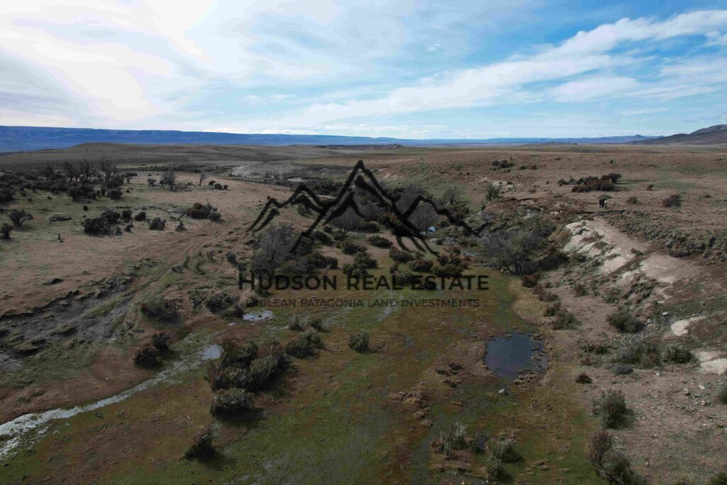 Wildlife habitat with flamingos and huemules – Patagonia Chile